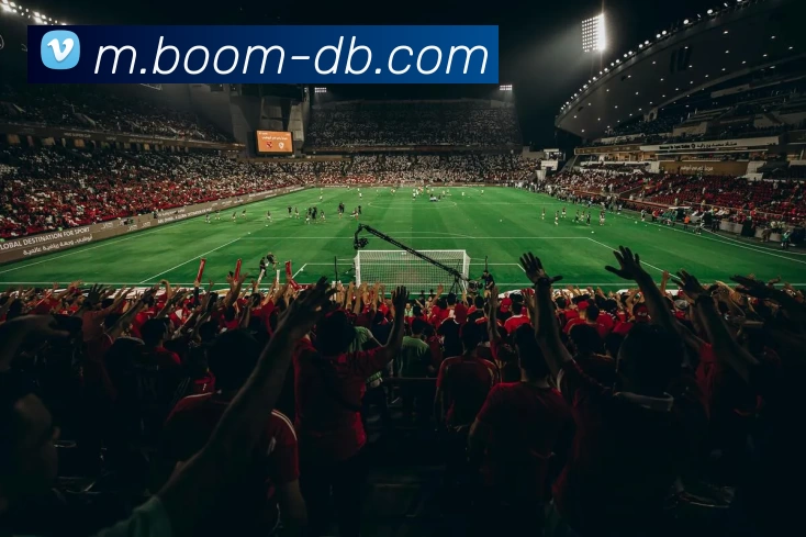 DB体育APP 高清赛事图